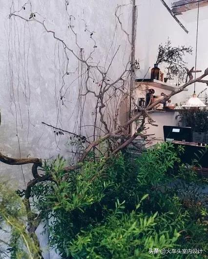 她放弃了总监职位后续,她辞去总监回家扶贫全集