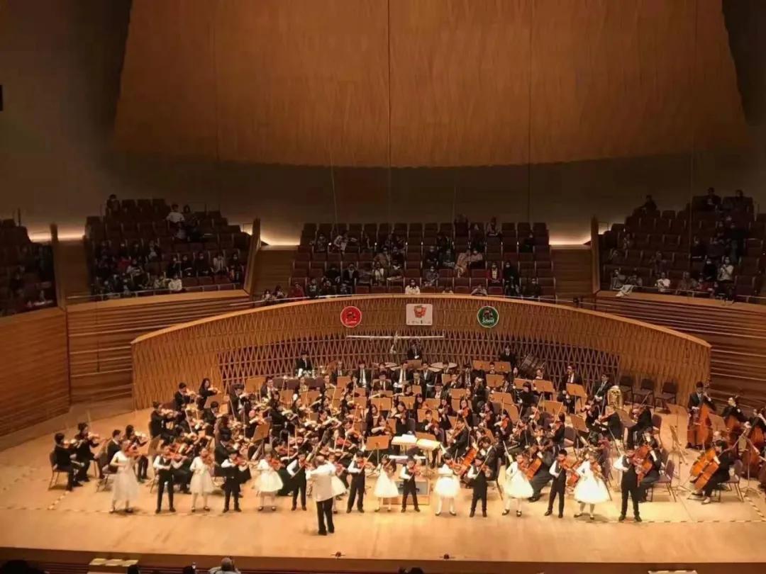 聊聊琴童学琴的那些事儿,孩子学琴家长好操心