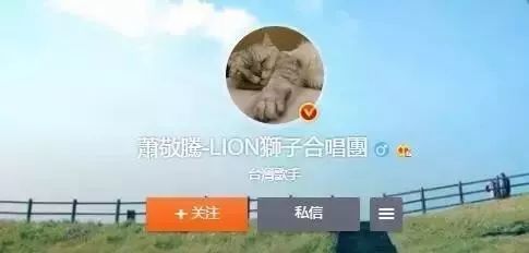 哪些明星养猫最好养,盘点明星们养的宠物
