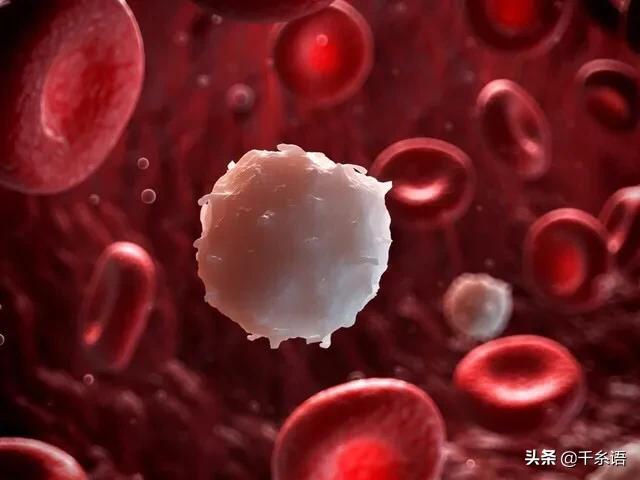 腹泻为什么要做血常规检查