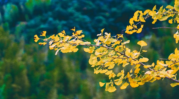 一起游玩泰顺,小众旅游泰顺
