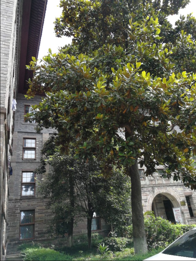 宁波华美医院医疗综合大楼新建,中国医科大学宁波华美医院