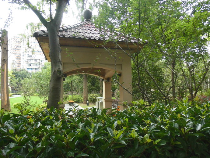 租界公园、跑狗场、卷烟厂，这条马路“活化石”太多