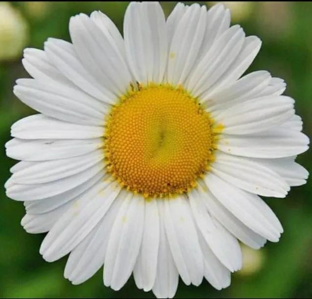 肛瘘手术后15天亲身经历视频,复杂性肛瘘手术恢复日记