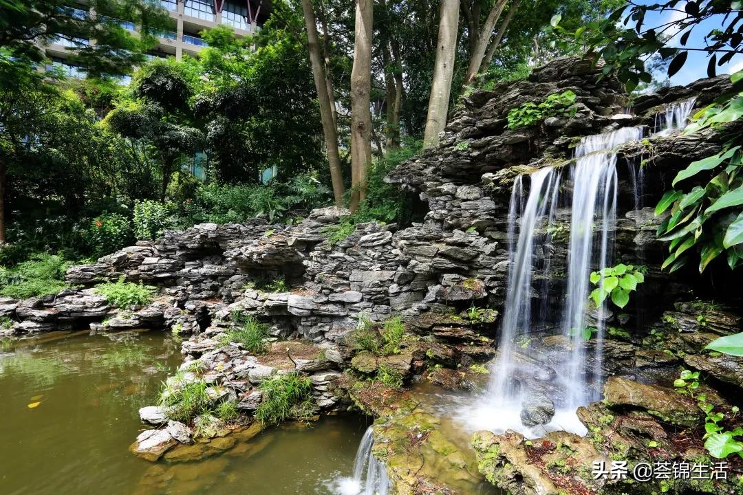 星爷同款电动大床,星爷同款床