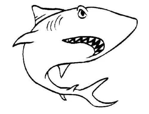 盘点动物会说话,盘点动物园里的山寨动物