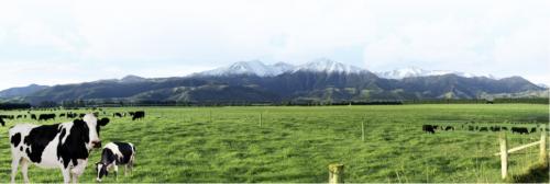 怎样选择青少年奶粉才是正确的,怎么选择成人奶粉才是正确的