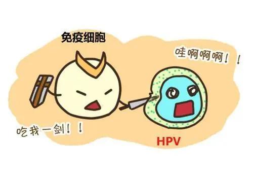 慌了,做个检查发现感染HPV,一定会得宫颈癌么?