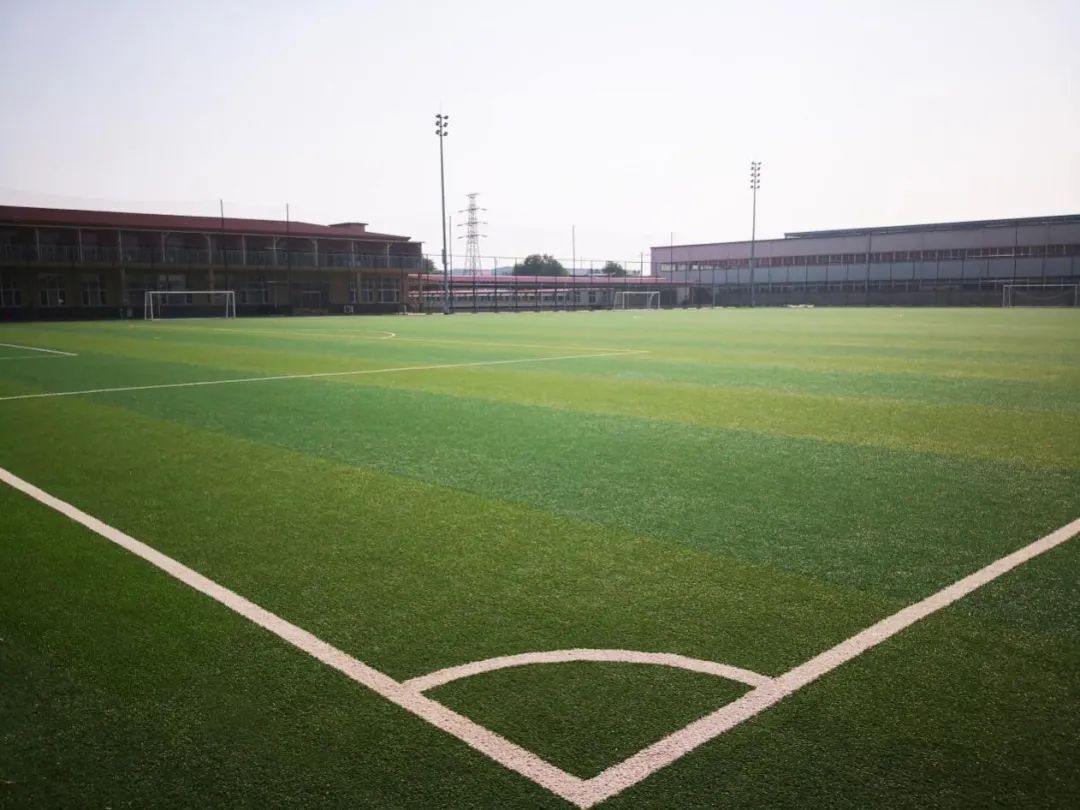 免填充人造草坪的前景,人造草坪威腾