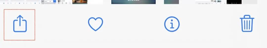 用了五年的iphone11,iphone相册总结