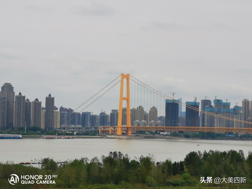 四新利好,四新杨泗港长江大桥