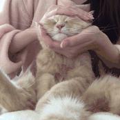 懒人最新逗猫技巧，让小猫玩的根本停不下来