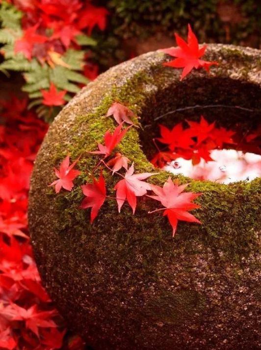 现代诗歌的美学意义,诗歌的美学效果