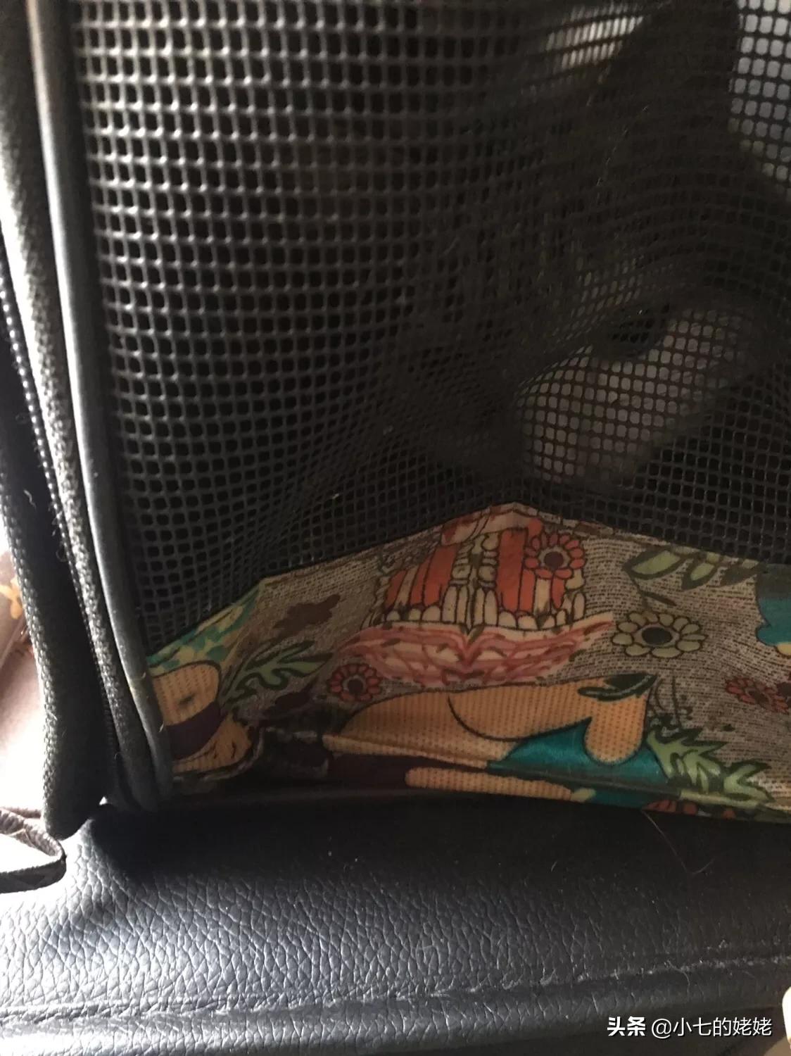 进退两难我们怎么办,进退两难有什么办法