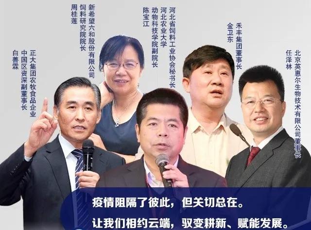 不要把无抗做成替抗！金卫东、白善霖、周桂莲带来无抗新见解