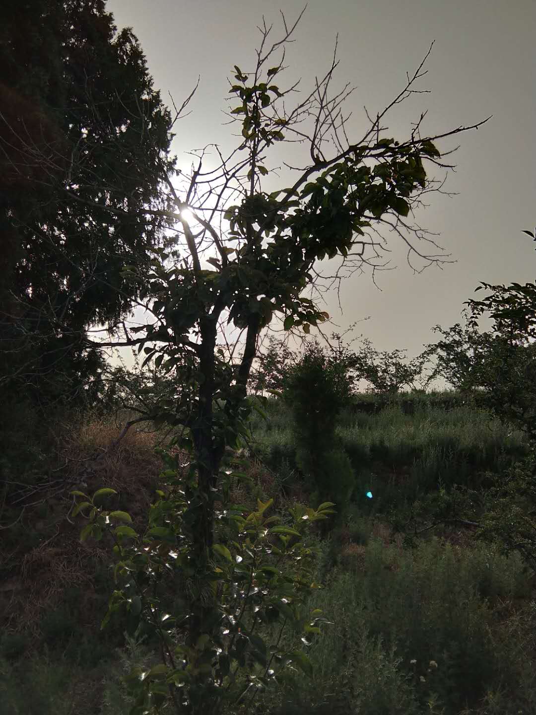 古村故事之七：神堡义寨保太平