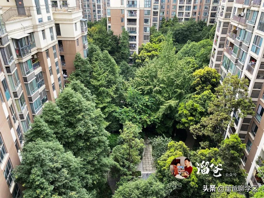 冯家湾村拆迁,神仙树冯家湾片区