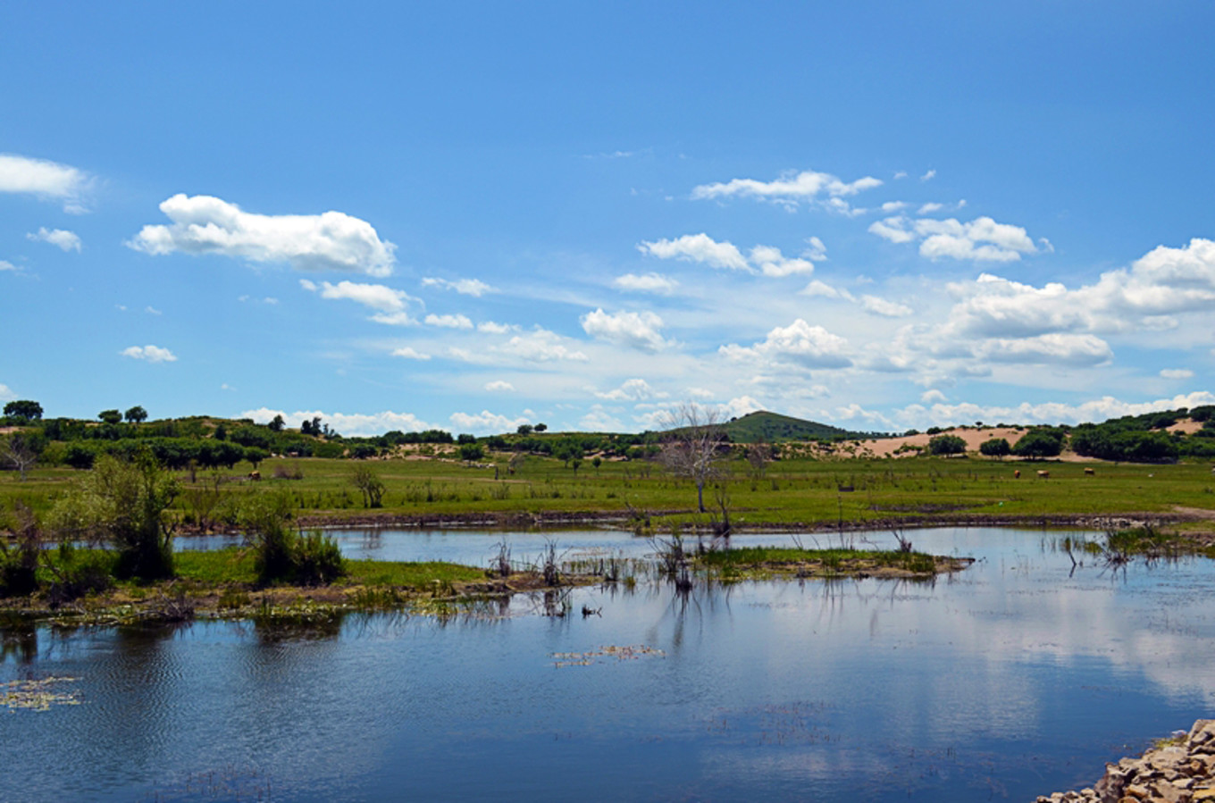 乌珠穆沁草原狼图腾,狼图腾草原魂歌曲
