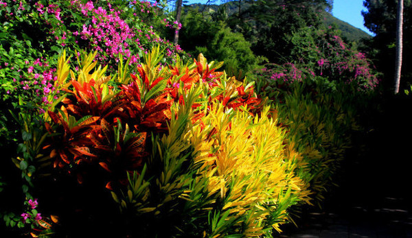 海南旅游海口到三亚自由行,从海口到三亚感受海南的无限魅力