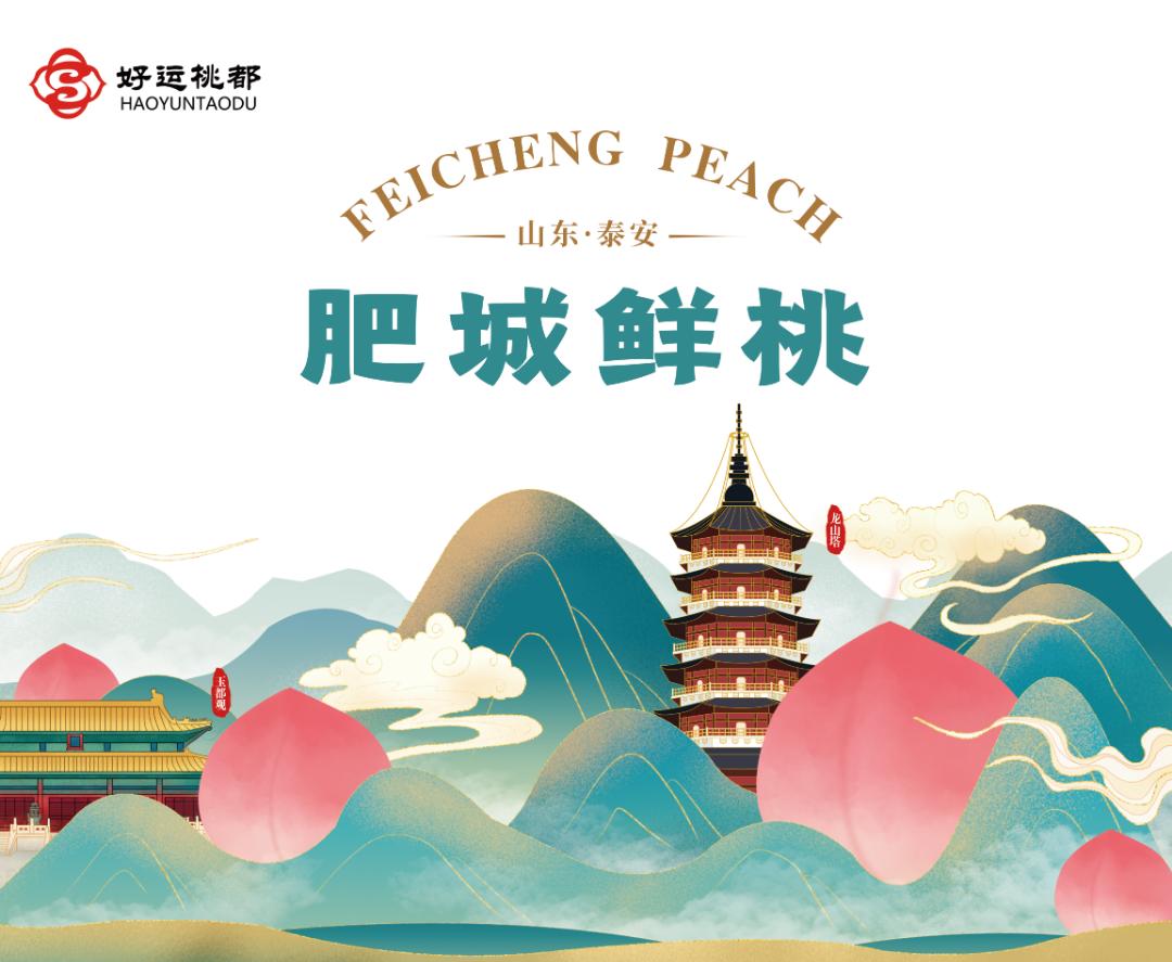 2019农产品包装设计大赛,沈阳创新设计大赛