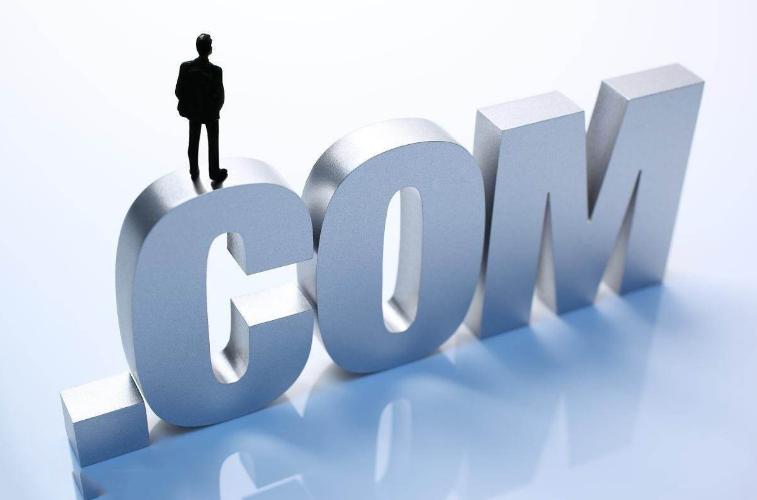 他，福建初中生，域名之王，天使投资人，花7亿买币，为啥？