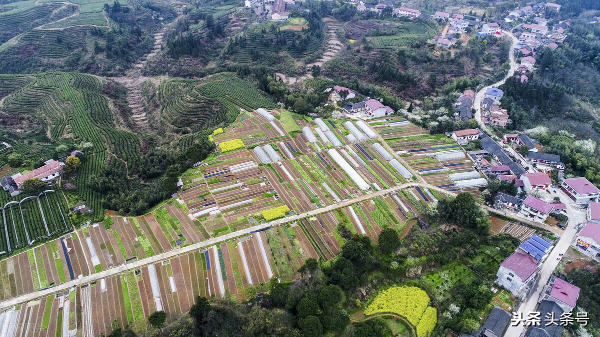 沅陵的人沈从文,沈从文湘西凤凰人