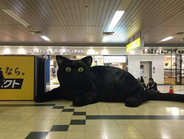 日本人都不曾在意的细节，11处日本的特有现象