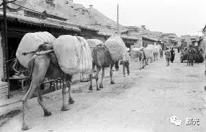 一个家族的百年史解析,家族往事的故事