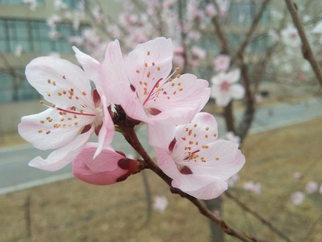 为什么是七年之痒不是八年之痒,七年之痒完整版免费观看