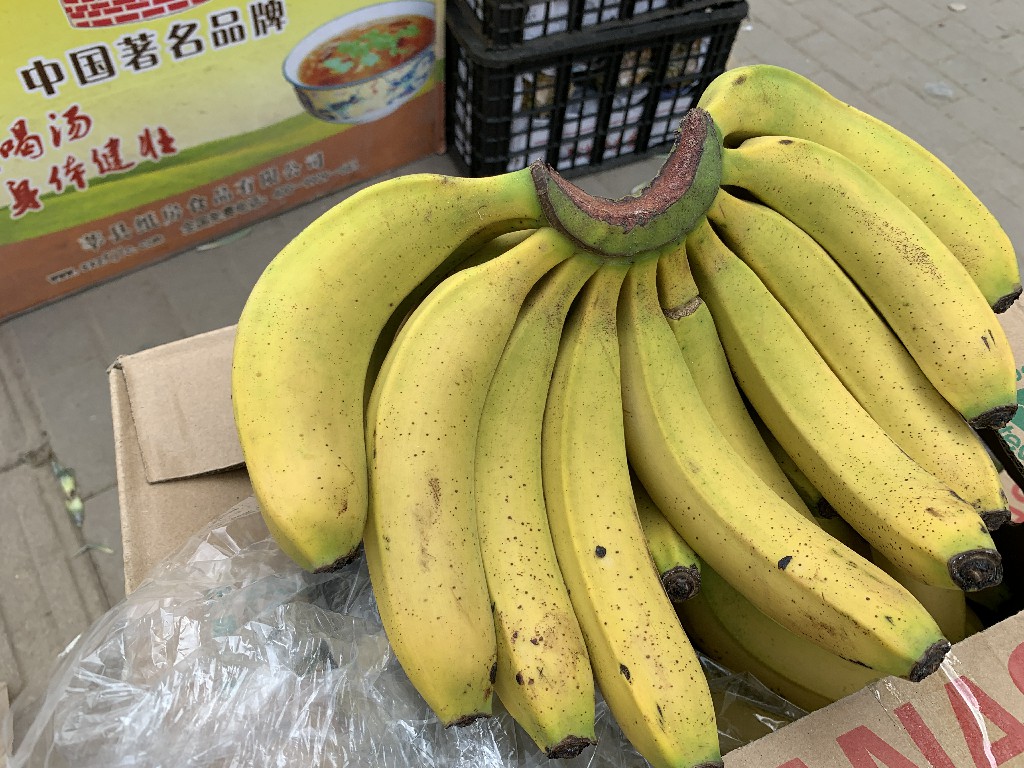 买香蕉时选直的还是弯的,买香蕉怎么挑弯