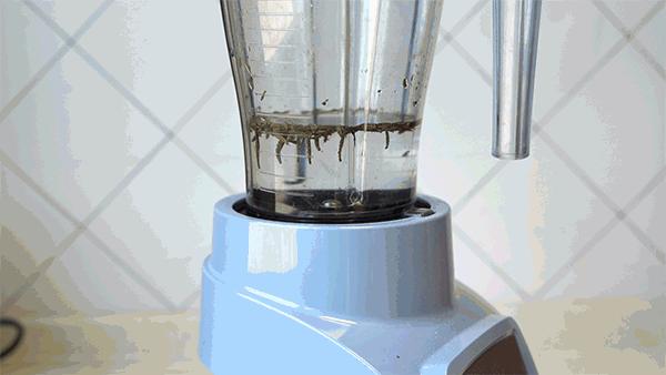 blendtec800破壁机评测,blendtec破壁机很大一股味道