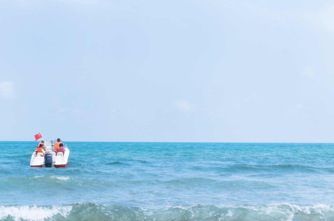 海滨老城泡桐花 (海滨老城紫色泡桐花)