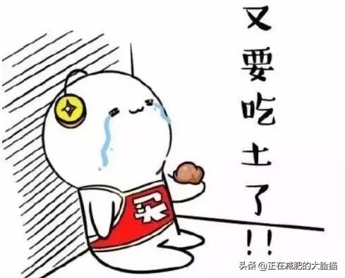 几百块钱大牌包包,大牌包包几千就能入手