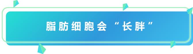这八种网友疯传的最有效减肥方法,这3种减肥方法效果显著值得一试