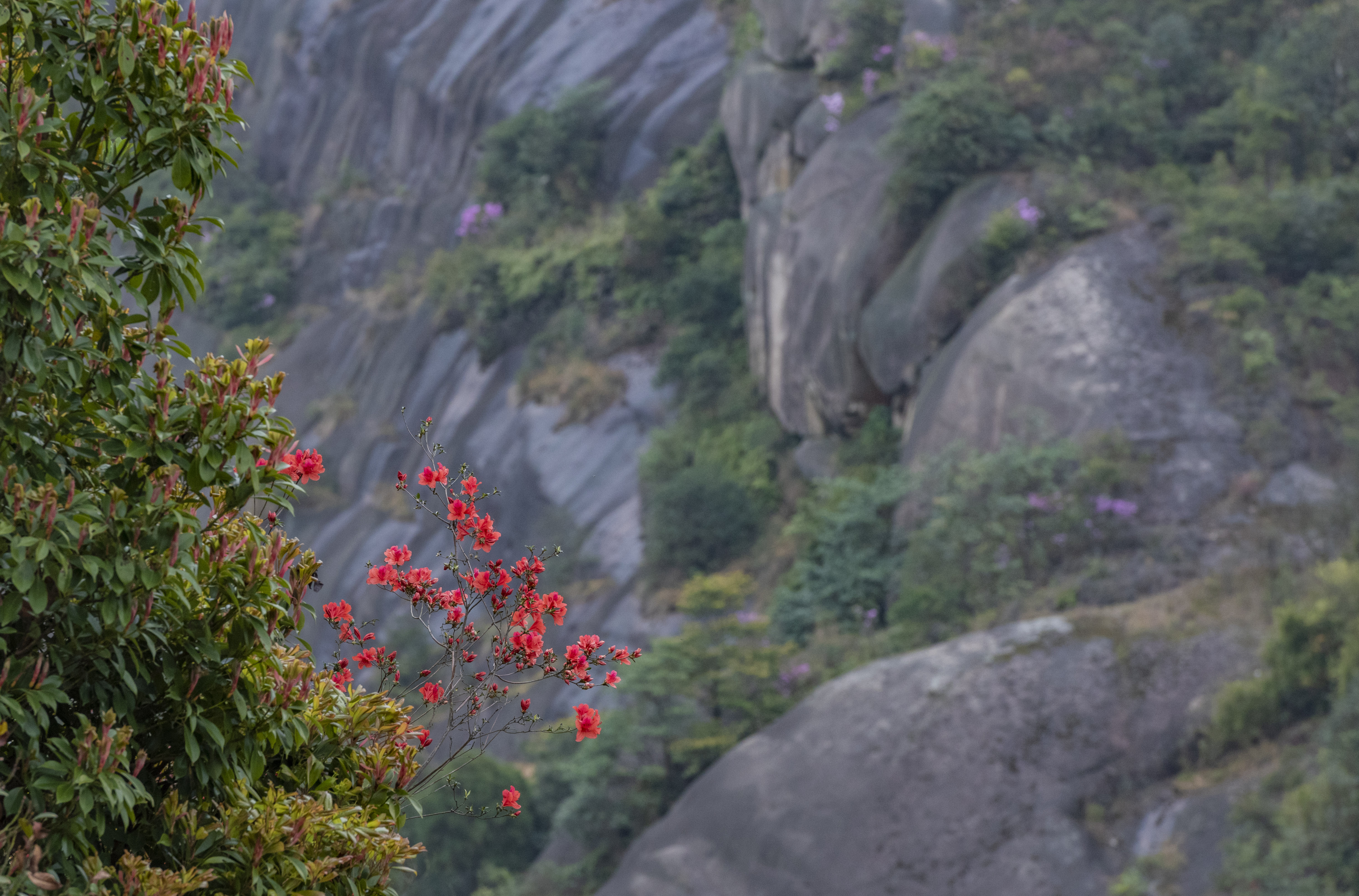 一个让人心灵净化的地方,一个让心灵得到治愈的地方
