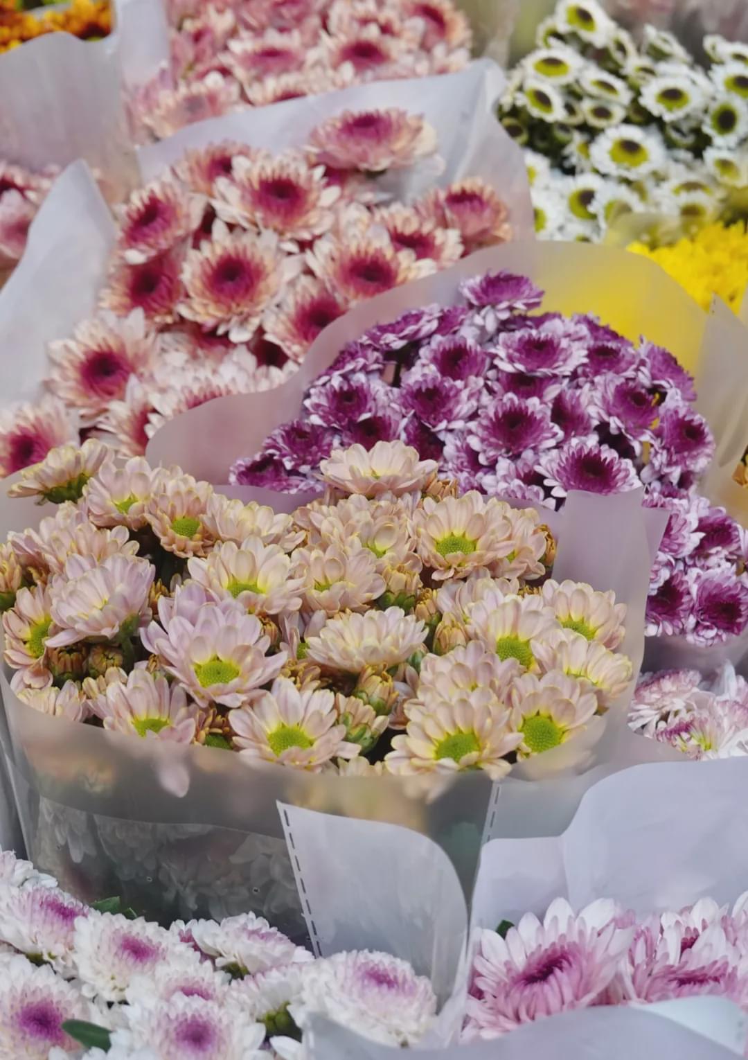 乌鲁木齐附近最便宜的花市,乌鲁木齐市花街在哪里