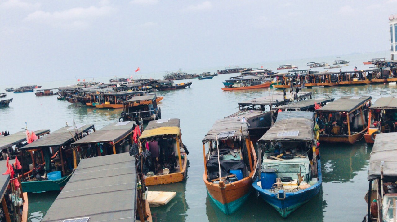 广西哪些城市有非法集资案件,2014年广西北海市非法集资案