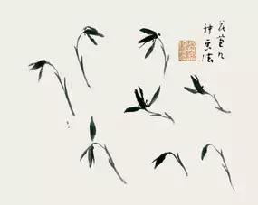 兰花的画法国画,兰花的画法步骤动画