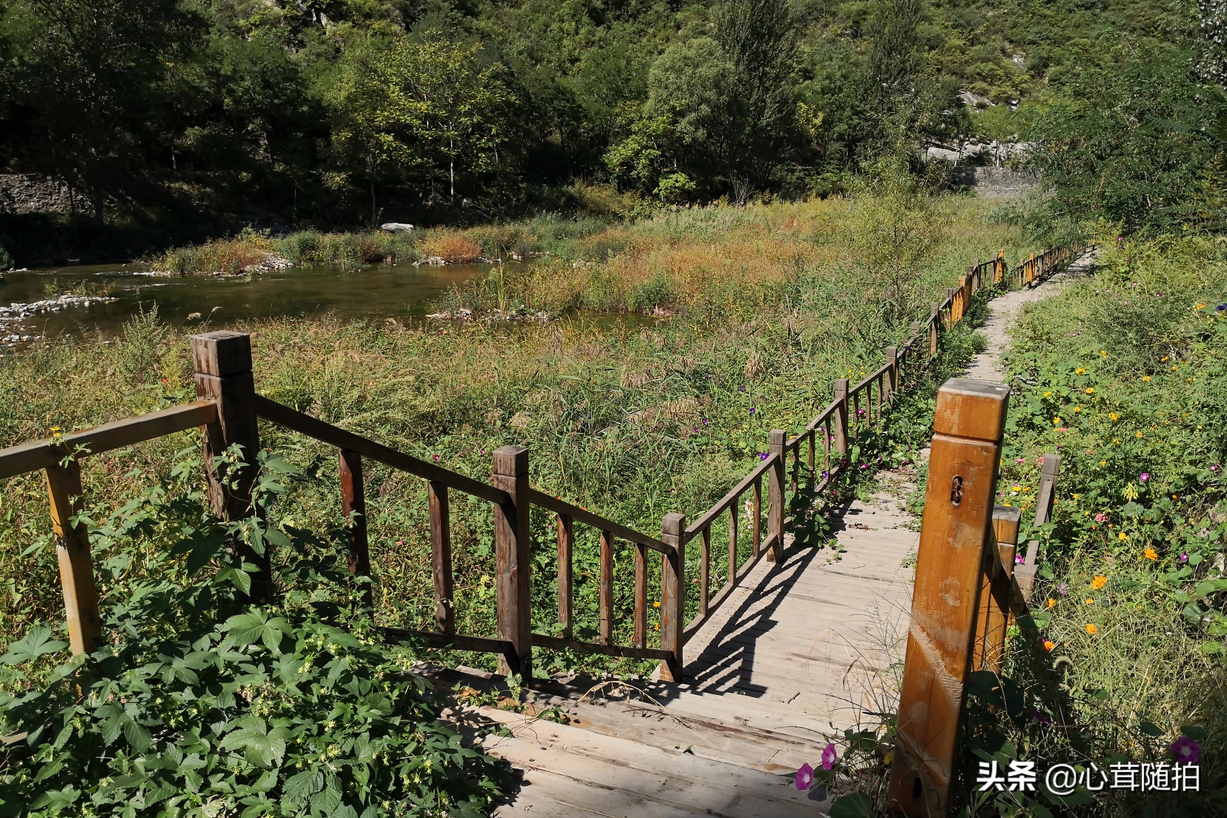 自驾白河湾,白河湾自然风景区自驾