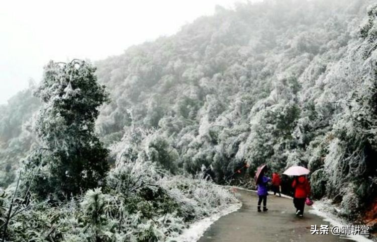 赣州峰山附近一日游自驾游景点,赣州峰山美景