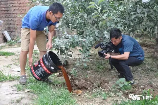 雨后果园更清新了吗,雨后果园有什么讲究