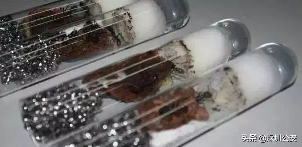 蝎子烟真的能吸吗,蝎子烟的危害