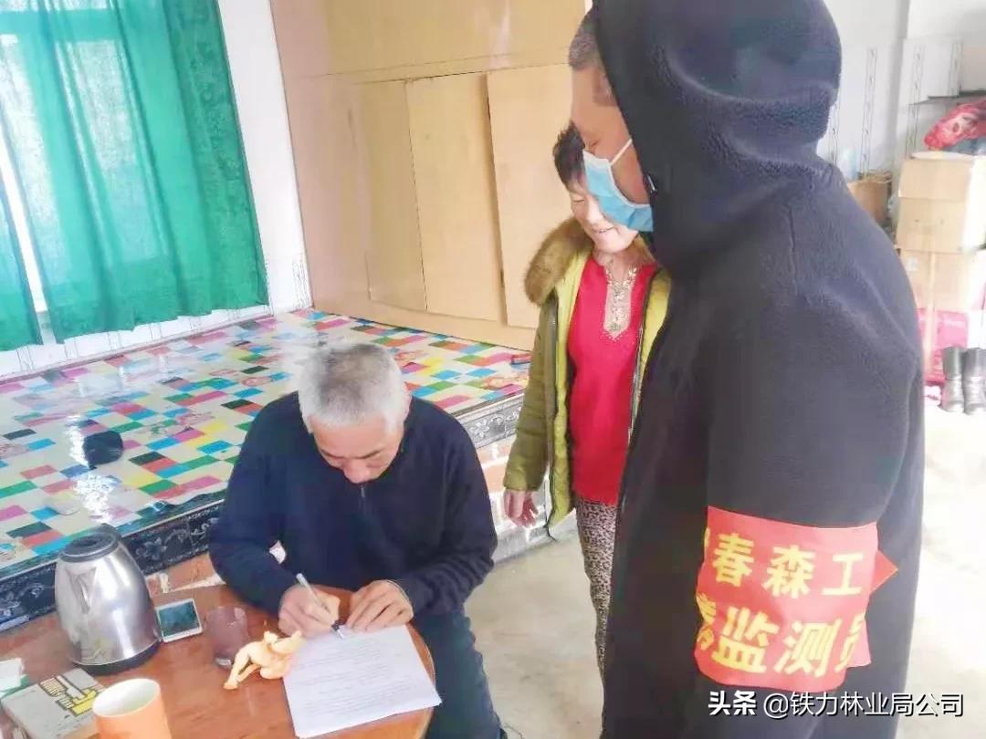 伊春森工铁力林业局最新消息,伊春森工铁力林业局有限责任公司