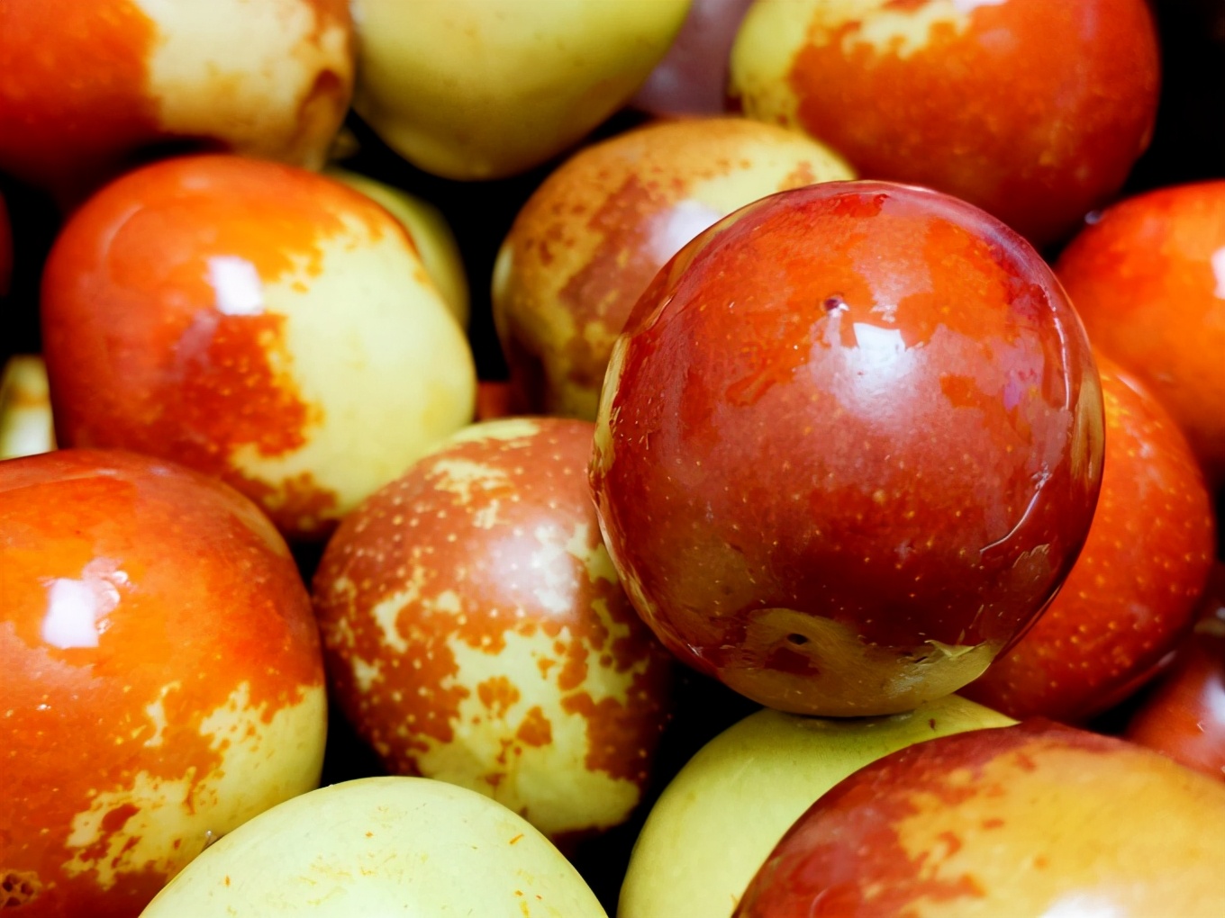 滨州有冬枣吗,产自哪里的冬枣最好吃