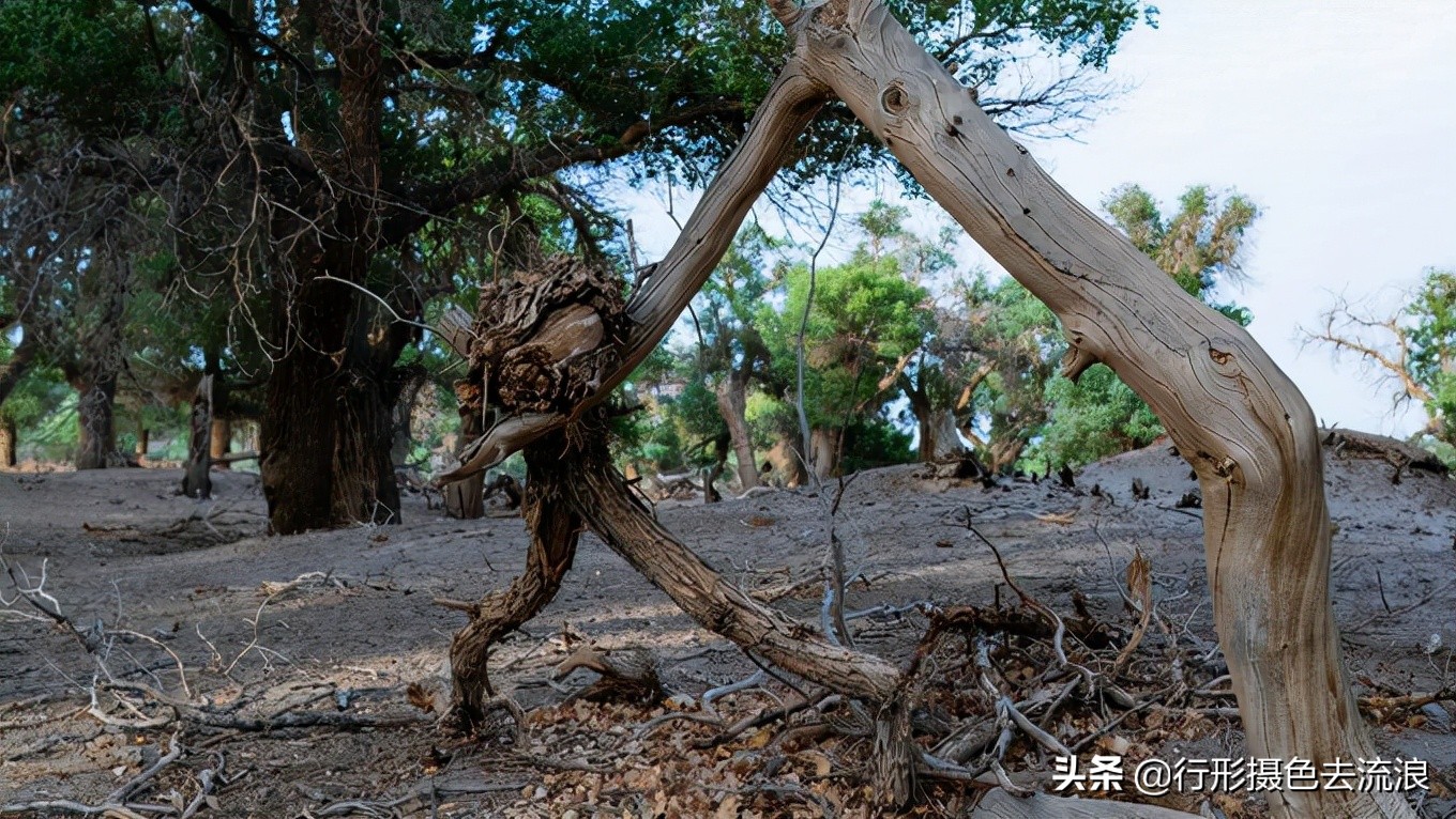 南北疆30天自驾深度游攻略,西行新疆