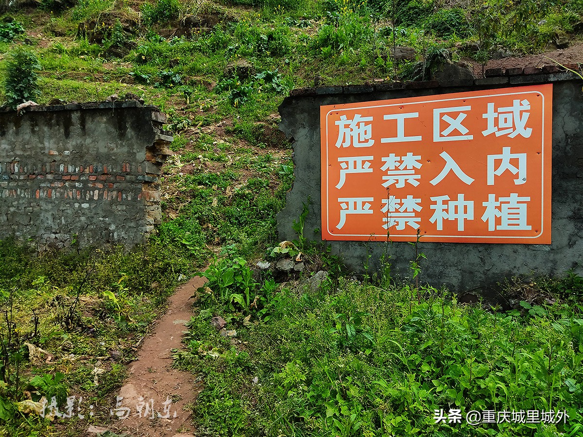 好奇探寻平顶山顶是否“平”，无意发现了渝中区与沙坪坝区的界牌