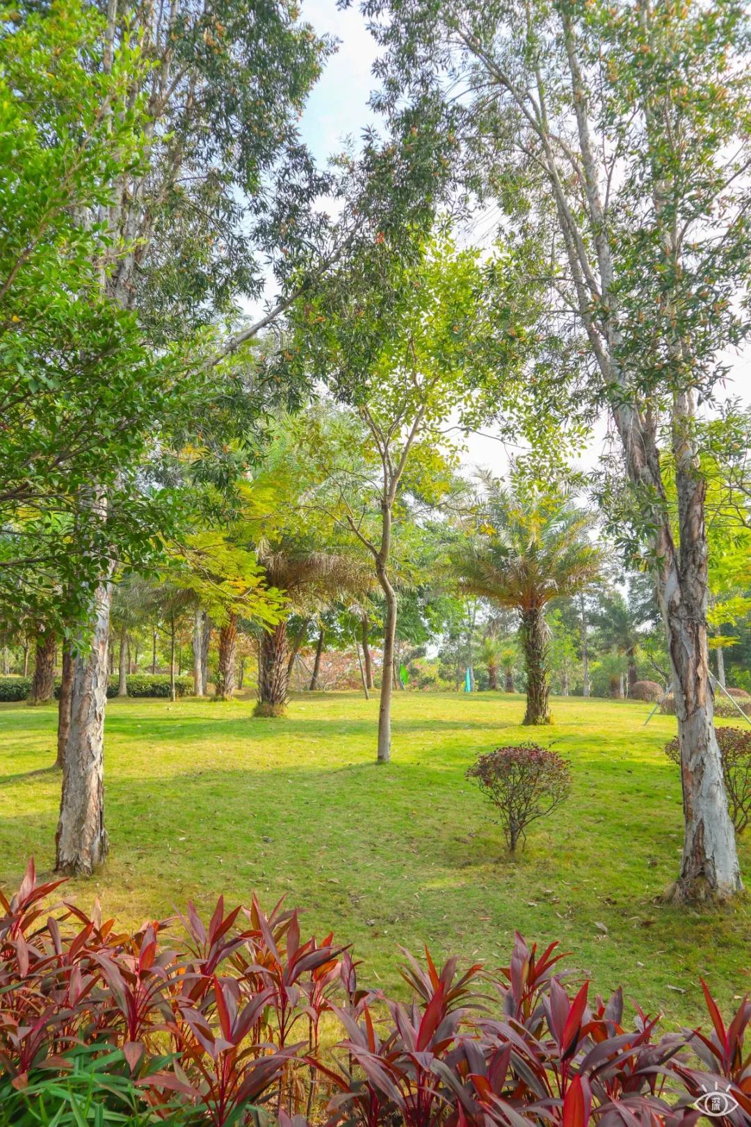 深圳儿童乐园要预约吗,深圳儿童乐园室内免费游乐场