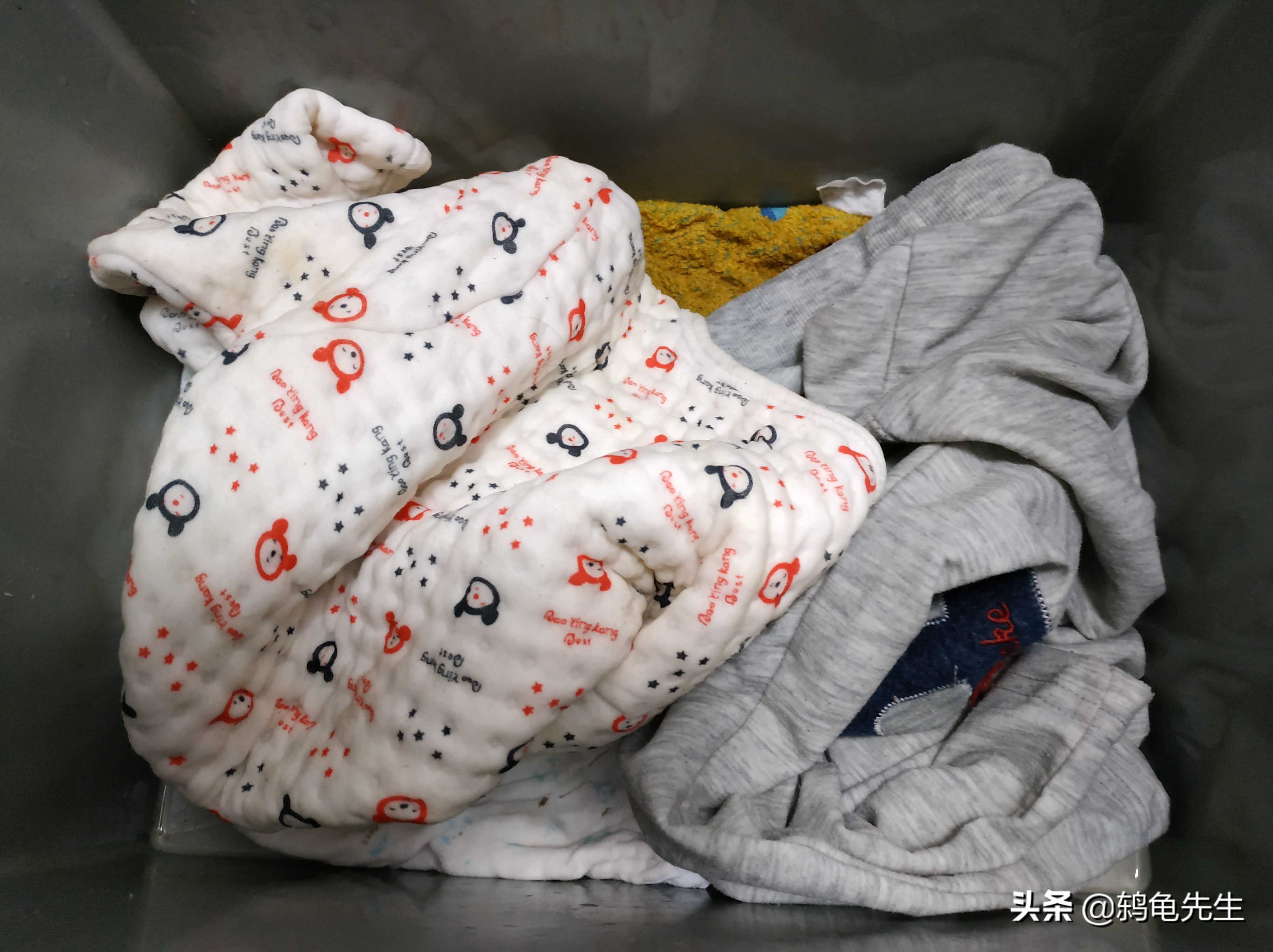 草龟冬眠的正确养法,草龟用湿毛巾冬眠法