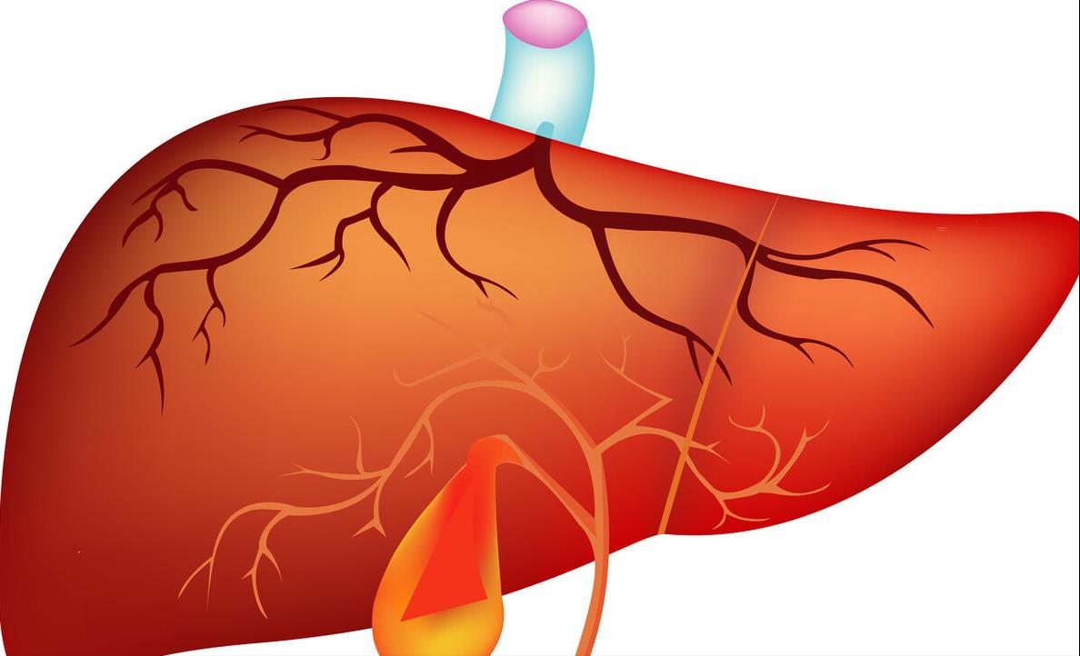 胆经不通小偏方,胆经堵全身堵一个穴位打通胆经