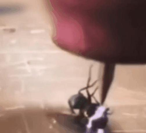 各种搞笑方法干掉蚊子,如何一次干掉100只蚊子